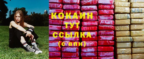 гашик Алзамай