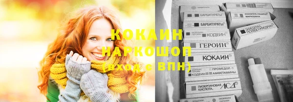 гашик Алзамай