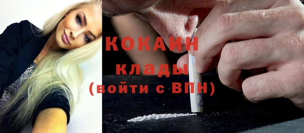 гашик Алзамай