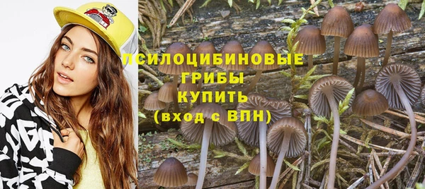 Альфа ПВП Алексин