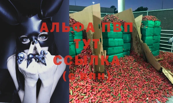 spice Алексеевка